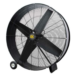 Fans
